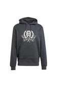 adidas  Erkek  Gri  Sweatshirt GRAPHIC LO HD JX8186 thumbnail 1