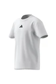 adidas  Çocuk  Beyaz  T-shirt J SL TEE 160 JC9774 thumbnail 10