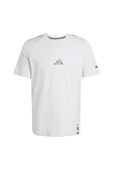 adidas  Erkek  Gri  T-shirt M T-S JL7963 thumbnail 1