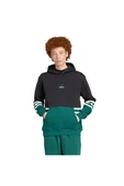 adidas  Erkek Siyah  Sweatshirt ARCHIVE HOODIE JY2798 thumbnail 2