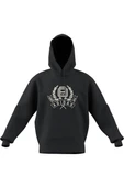 adidas  Erkek  Gri  Sweatshirt GRAPHIC LO HD JX8186 thumbnail 7