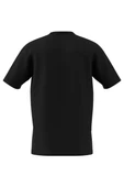 adidas  Erkek  Siyah  T-shirt M PHOTO T JM6446 thumbnail 11