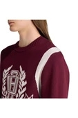 adidas  Erkek Bordo  Sweatshirt GRAPHIC REG JP JX8215 thumbnail 6
