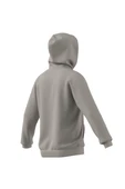 adidas  Erkek  Bej  Sweatshirt M COLLEGIATE HD JM6424 thumbnail 10