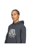 adidas  Erkek  Gri  Sweatshirt GRAPHIC LO HD JX8186 thumbnail 5