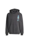 adidas Erkek  Gri  Sweatshirt GFX HOODIE JX1811 thumbnail 1