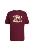 adidas  Erkek Bordo  T-shirt GRAPHIC LO SS T JX8175 thumbnail 1