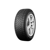 Dayton DW510 Evo 175/65 R14 82T Kış Lastiği - 2025 - 1