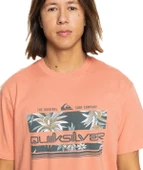 Quiksilver EQYZT07679 Tropical Rainbow Ss Erkek Tişört thumbnail 5