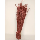 Toz Pembe Şoklanmış Dökülmeye Dayanıklı Gerçek Lavanta Demeti thumbnail 1