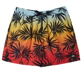 Quiksilver AQYJV03147 Everyday Mix Volley 15 Erkek Şort Mayo thumbnail 1