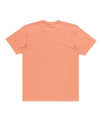 Quiksilver EQYZT07679 Tropical Rainbow Ss Erkek Tişört thumbnail 3