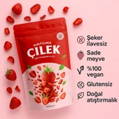 ASELYA DOĞAL KURUTULMUŞ ÇİLEK DİLİMLERİ - KATKISIZ, ŞEKERSİZ, %100 MEYVE, VEGAN - 1