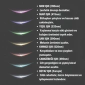 Northcity 7 Farklı Işık Modlu Titreşimli Boyun Ve Yüz Ems Güzellik Cihazı - 2