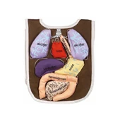 AND-5011 ORGAN ÖNLÜĞÜ thumbnail 1