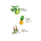 Kolonya Pet Şişe Sprey 150 ml Okyanus thumbnail 2