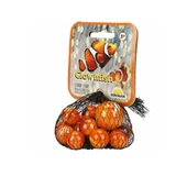 3006 NessiWorld  Misket Clowfish 15+1 File thumbnail 1