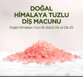 Doğal Diş Macunu 90 Gr Himalaya Tuzlu thumbnail 2