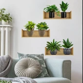 Raflı Bitki Tasarımlı Yapışkanlı Sticker 20*30 cm 3lü Set (5250) - 1