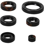 CG Takım Keçe – Motor Krank, Vites ve Supap Mili Yağ Keçesi Seti 125cc thumbnail 2