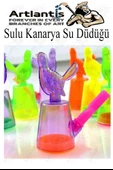 Sulu Kanarya Su Düdüğü 5 Adet Sulu Bülbül Kuş Sesi Çıkaran Düdük Oyuncak Karne Sınıf Çocuk Hediyesi thumbnail 5