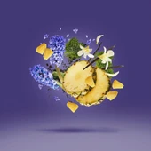 Xerjoff Accento EDP 100 ml Unisex Parfüm thumbnail 4