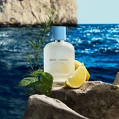 Dolce & Gabbana Light Blue Pour Homme EDT 100 ml Kadın Parfümü thumbnail 3