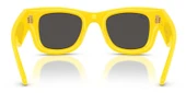 Ray-Ban RB4940 683087 47 A$AP ROCKY Unisex Güneş Gözlüğü thumbnail 3