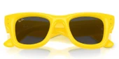 Ray-Ban RB4940 683087 47 A$AP ROCKY Unisex Güneş Gözlüğü thumbnail 6