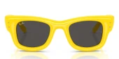 Ray-Ban RB4940 683087 47 A$AP ROCKY Unisex Güneş Gözlüğü thumbnail 5