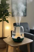 Glr K07 Yeşil Çift Spreyli Ultrasonik Sessiz Hava Nemlendirici ve Gece Lambası | 3L Kapasite - 1