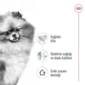 Royal Canin Mini İndoor Adult Yetişkin Köpek Maması thumbnail 3