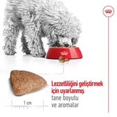 Royal Canin Mini İndoor Adult Yetişkin Köpek Maması thumbnail 5