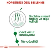Royal Canin Mini İndoor Adult Yetişkin Köpek Maması thumbnail 6