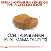 Royal Canin British Shorthair Adult Yetişkin Kedi Maması - 6