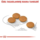 Royal Canin Mini Dermacomfort Yetişkin Köpek Maması thumbnail 5