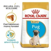 Royal Canin Pug Junior Yavru Köpek Maması - 2