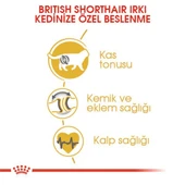 Royal Canin British Shorthair Adult Yetişkin Kedi Maması - 10