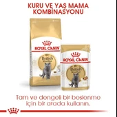 Royal Canin British Shorthair Adult Yetişkin Kedi Maması - 9