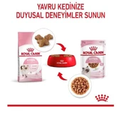 Royal Canin Kitten Gravy Pouch Yavru Konserve Kedi Maması - 4