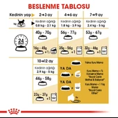 Royal Canin British Shorthair Kitten Yavru Kedi Maması thumbnail 6