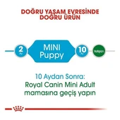 Royal Canin Mini Puppy Küçük Irk Yavru Köpek Maması - 8