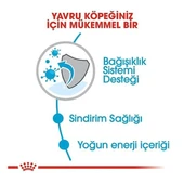 Royal Canin Mini Puppy Küçük Irk Yavru Köpek Maması - 7