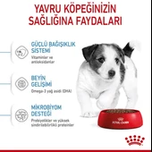 Royal Canin Mini Puppy Küçük Irk Yavru Köpek Maması - 6