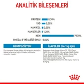 Royal Canin Maxi Puppy Gravy Yavru Konserve Köpek Maması - 4