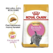 Royal Canin British Shorthair Kitten Yavru Kedi Maması thumbnail 2