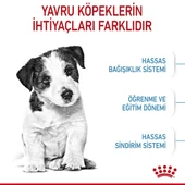 Royal Canin Mini Puppy Küçük Irk Yavru Köpek Maması - 5