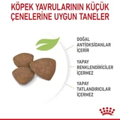 Royal Canin Mini Puppy Küçük Irk Yavru Köpek Maması - 11