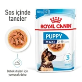 Royal Canin Maxi Puppy Gravy Yavru Konserve Köpek Maması - 1