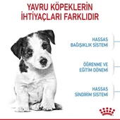 Royal Canin Mini Puppy Küçük Irk Yavru Köpek Maması - 12